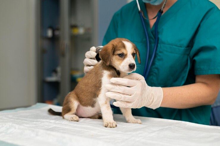 Mascota feliz en Animal Health Tipuro